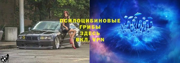 PSILOCYBIN Тихорецк