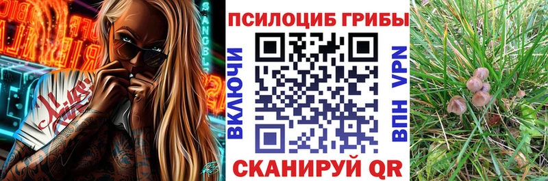 Галлюциногенные грибы Magic Shrooms  Купить закладки  Усмань 